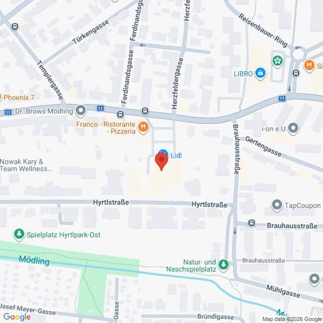 Lehrlingsportal.at Google-Maps-Ansicht der Gegend rund um die Hyrtlstraße in Mödling, wobei ein roter Pin einen Lidl-Standort markiert.