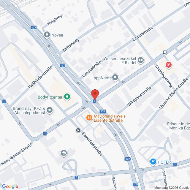 Lehrlingsportal.at Ein Screenshot von Google Maps, der die Umgebung einer roten Stecknadel in der Nähe des McDonald’s in der Eisenfeldstraße in Wels sowie verschiedener lokaler Geschäfte zeigt.