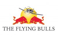 Red Bull Gmbh Logo